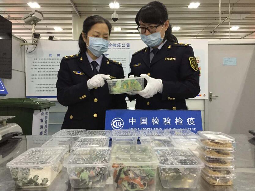 深圳保安机场深圳福田口岸预约车接送